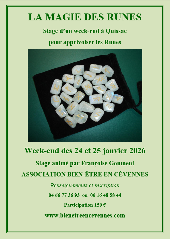 Affiche runes janvier 2026